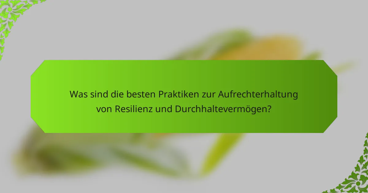 Was sind die besten Praktiken zur Aufrechterhaltung von Resilienz und Durchhaltevermögen?