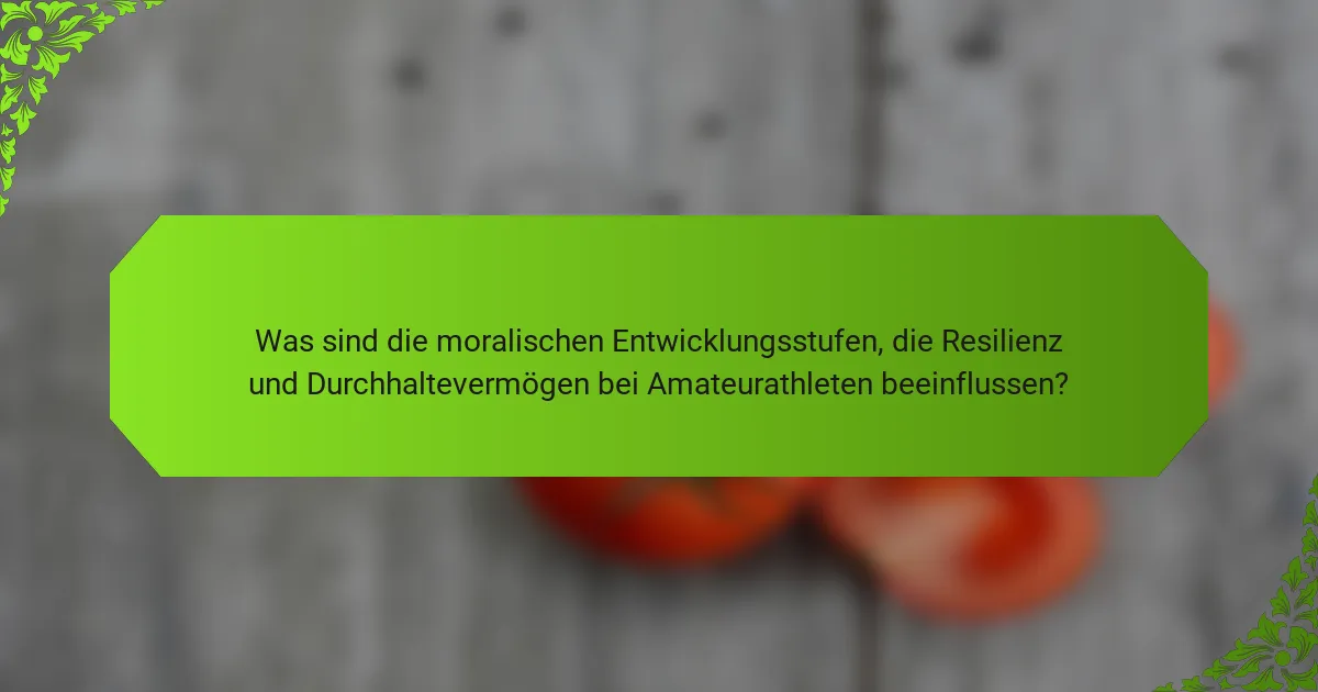 Was sind die moralischen Entwicklungsstufen, die Resilienz und Durchhaltevermögen bei Amateurathleten beeinflussen?