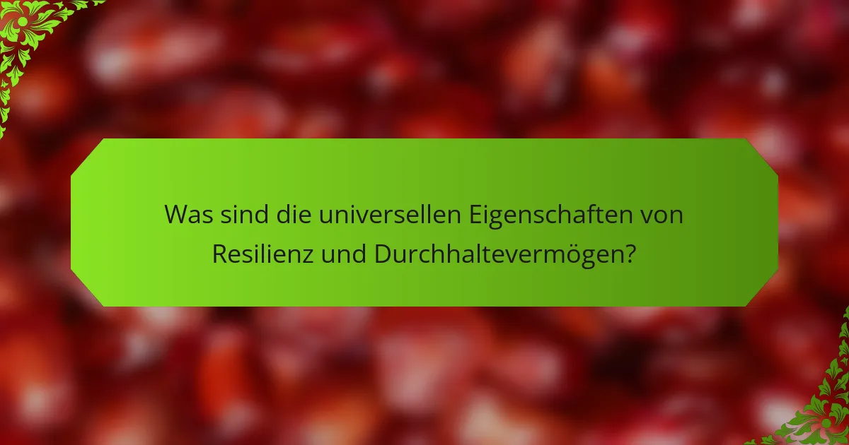 Was sind die universellen Eigenschaften von Resilienz und Durchhaltevermögen?
