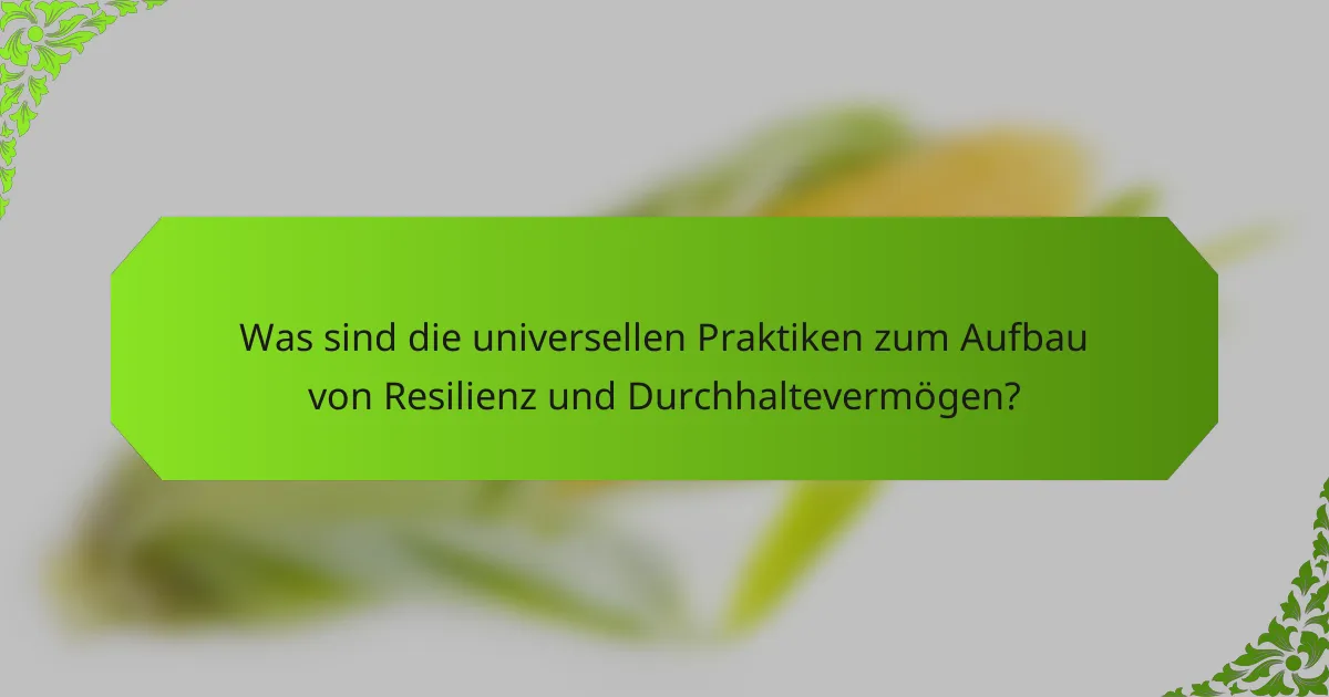Was sind die universellen Praktiken zum Aufbau von Resilienz und Durchhaltevermögen?